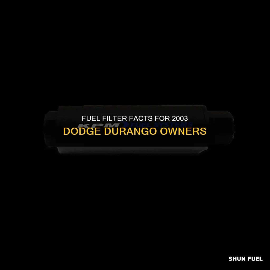 does a 2003 dodge durango have a fuel filter