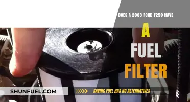 Fuel Filter Presence in 2003 Ford F250 Models