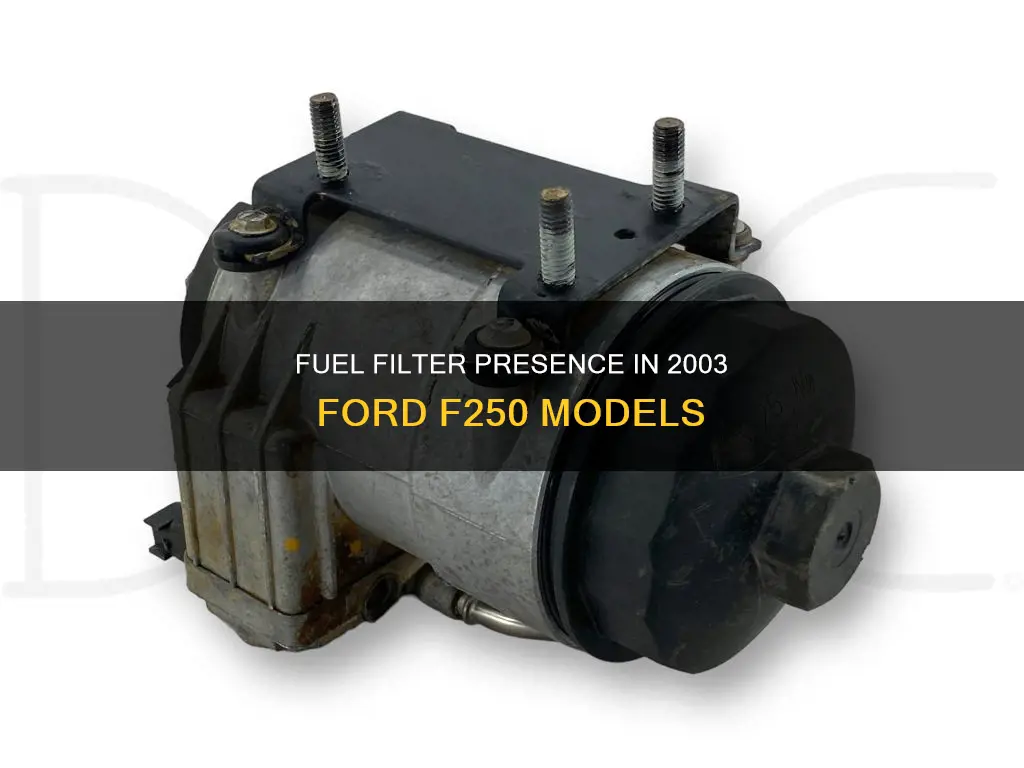 does a 2003 ford f250 have a fuel filter