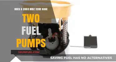 Does the 2003 MBZ 320E Feature Dual Fuel Pumps?