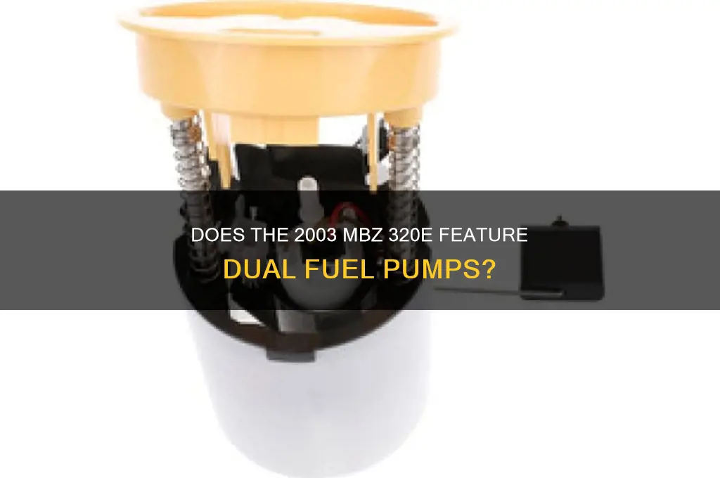 does a 2003 mbz 320e have two fuel pumps