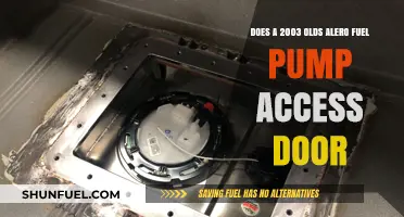 Accessing the Fuel Pump on a 2003 Olds Alero: Door Guide