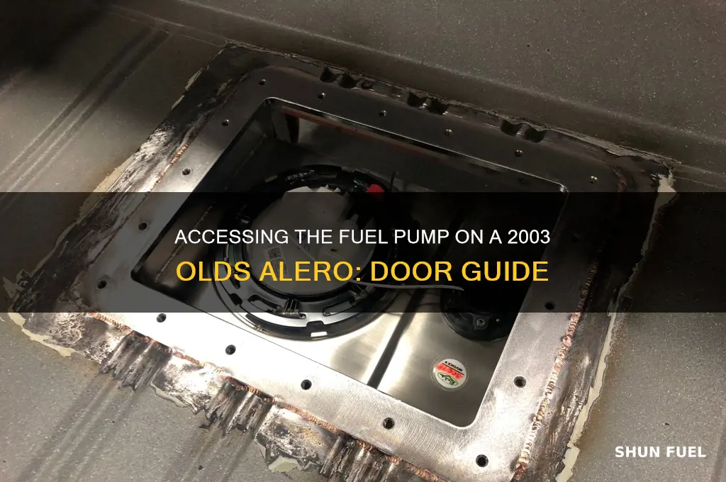 does a 2003 olds alero fuel pump access door
