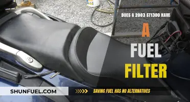 Fuel Filter Mystery: 2003 ST1300's Secret