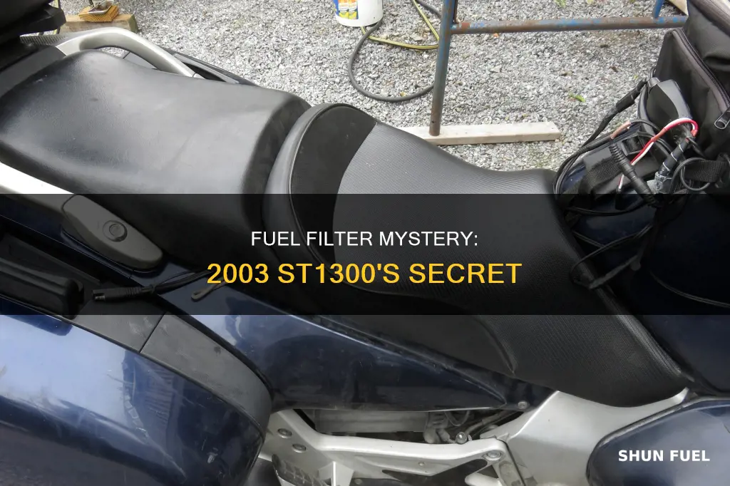 does a 2003 st1300 have a fuel filter