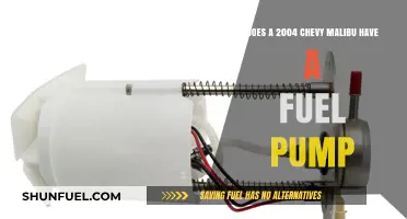 Does a 2004 Chevy Malibu Have a Fuel Pump?