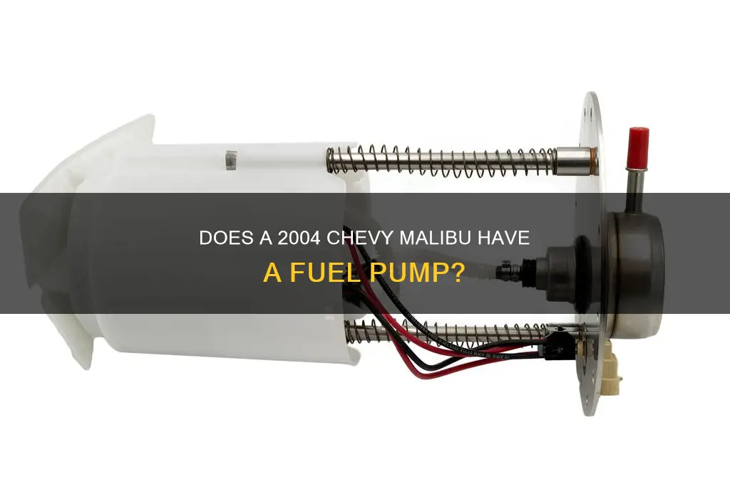 does a 2004 chevy malibu have a fuel pump