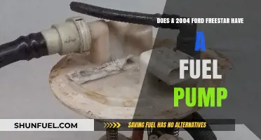 Ford Freestar 2004: Fuel Pump Location and Function Explained