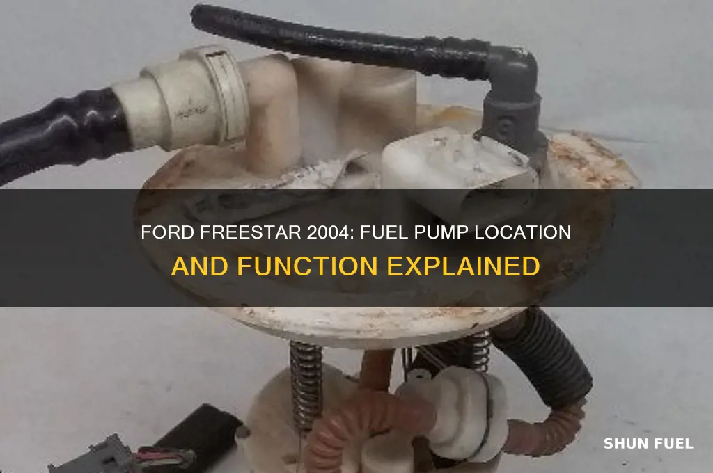 does a 2004 ford freestar have a fuel pump