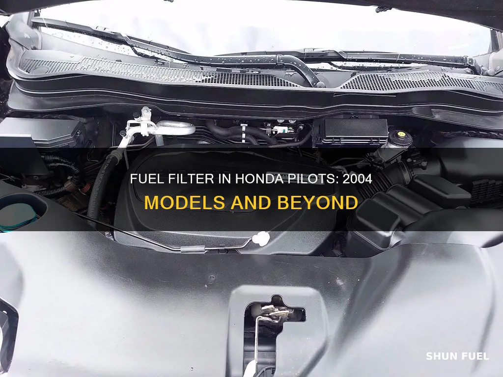 does a 2004 honda pilot have a fuel filter