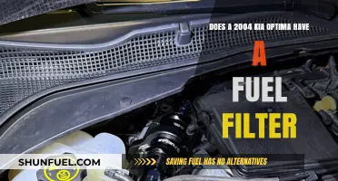 Kia Optima Fuel Filter: Is It Necessary?