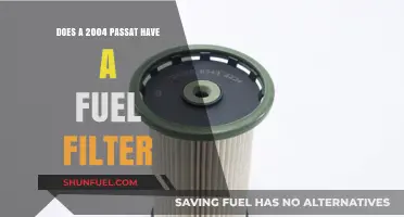 Fuel Filter in 2004 Passat: Yes or No?