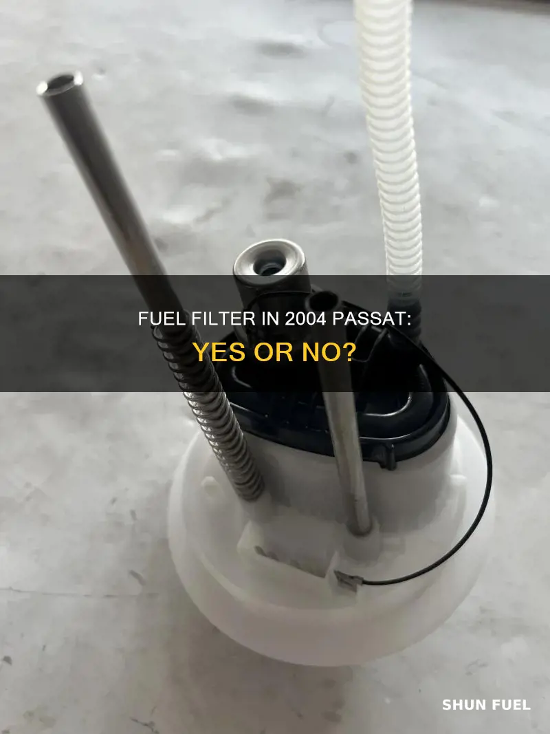 does a 2004 passat have a fuel filter