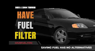 Fuel Filter Presence in 2004 Tiburon Models
