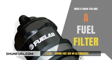 Fuel Filter in 2004 TSX: Yes or No?