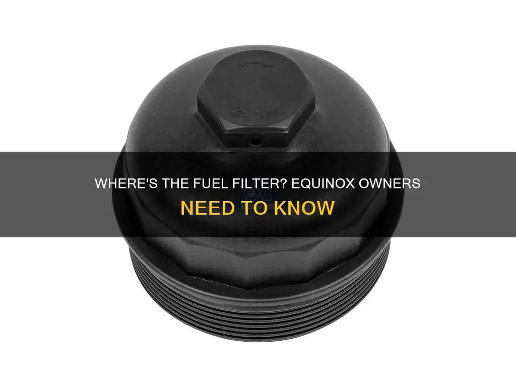 does a 2005 chevy equinox have a fuel filter