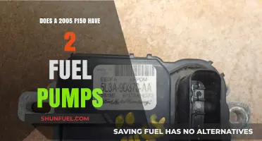 Exploring the 2005 F150's Fuel System: Dual Pumps or Single?