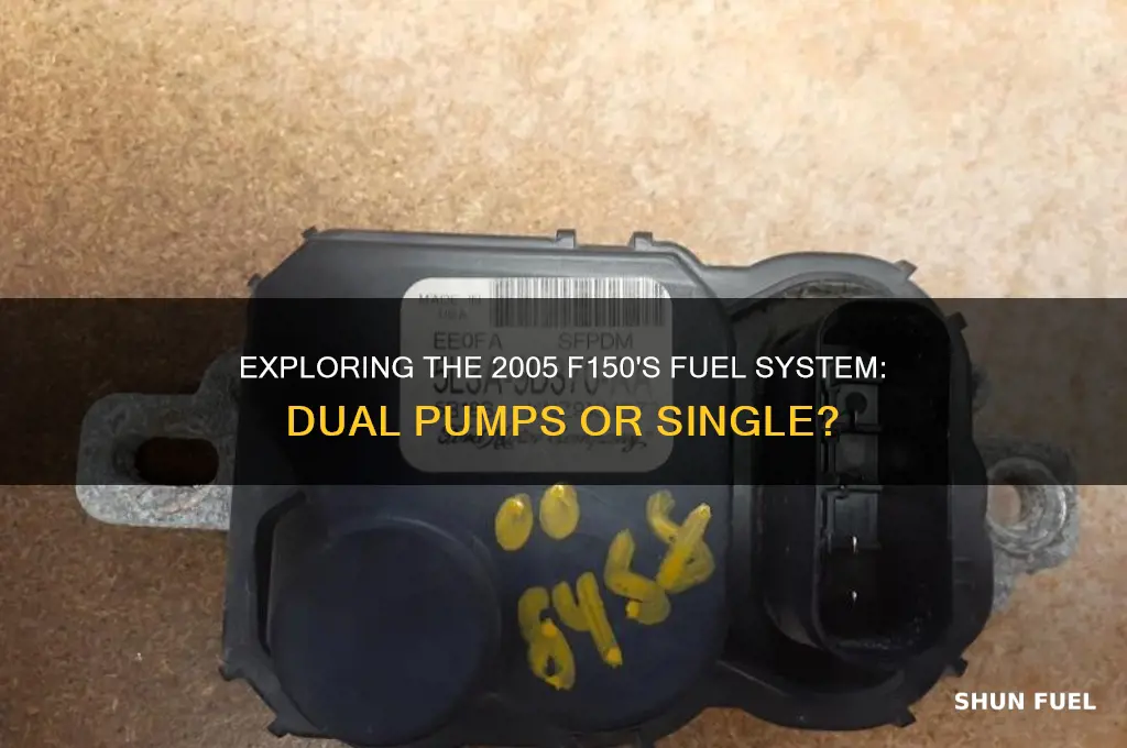 does a 2005 f150 have 2 fuel pumps
