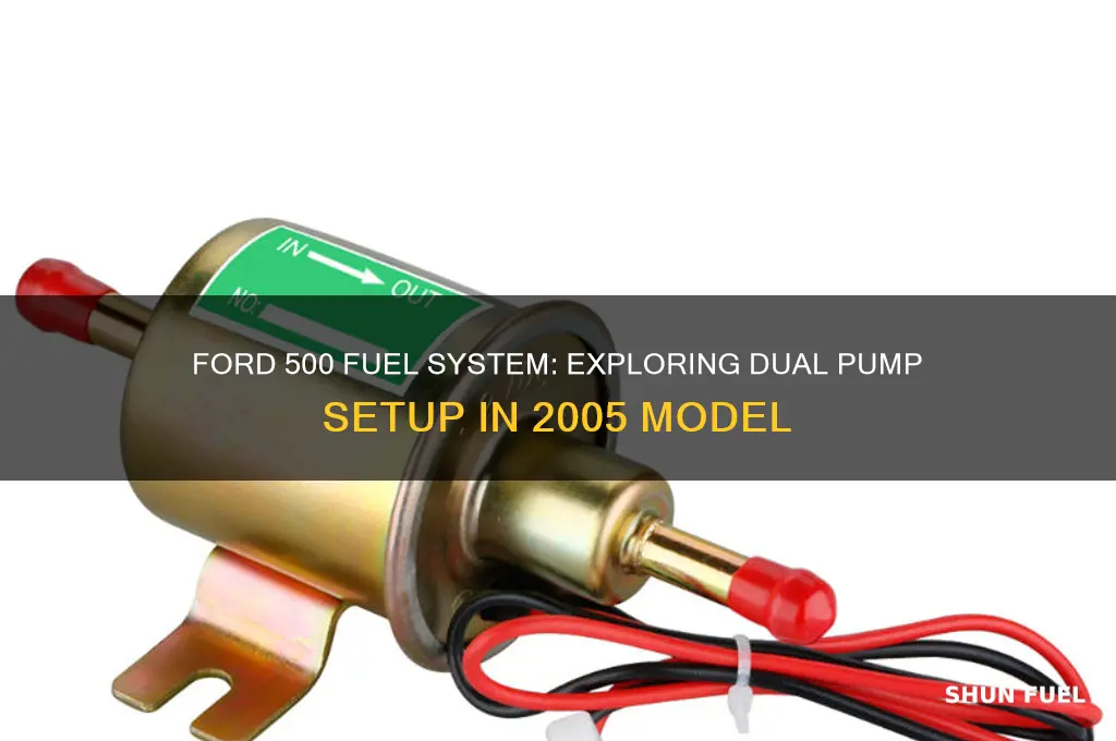 does a 2005 ford 500 have two fuel pumps