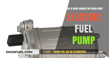 Honda TRX 450R Fuel System: Electric Pump in 2005 Model?