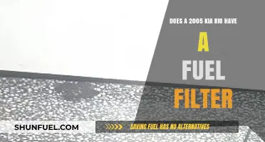 Kia Rio Fuel Filter: Is It Necessary?