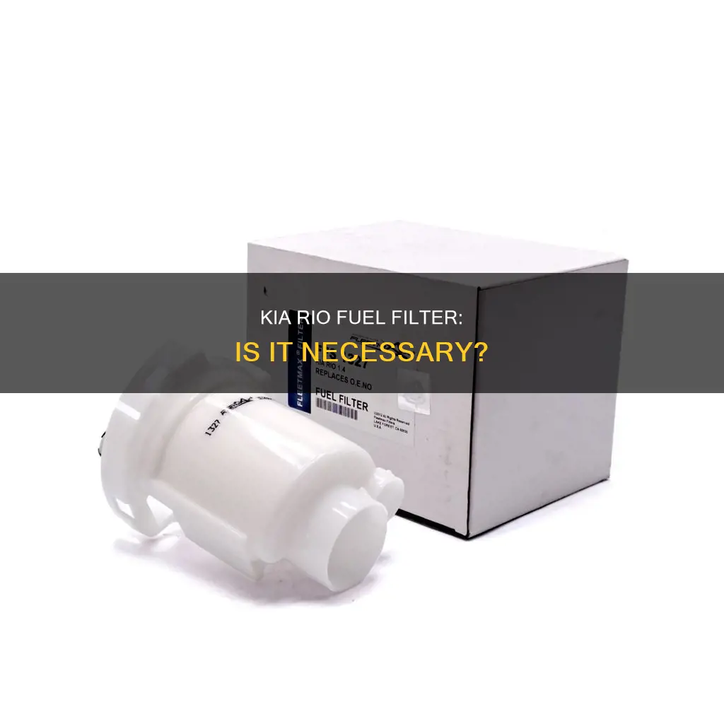 does a 2005 kia rio have a fuel filter