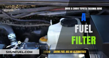 Fuel Filter on a 2005 Toyota Tacoma: Yes or No?