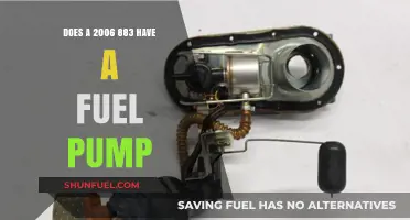 Does the 2006 Harley-Davidson 883 Sportster Have a Fuel Pump?