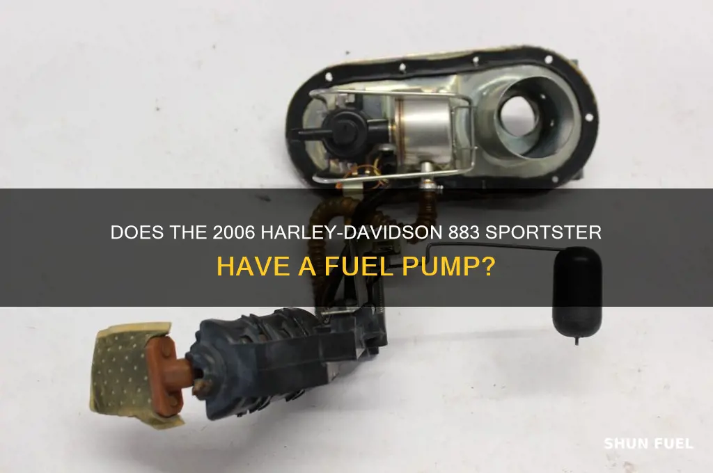 does a 2006 883 have a fuel pump