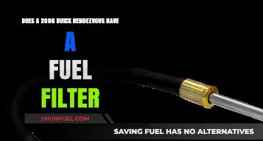 Fuel Filter Facts for 2006 Buick Rendezvous