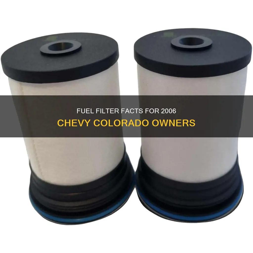 does a 2006 chevy colorado have a fuel filter