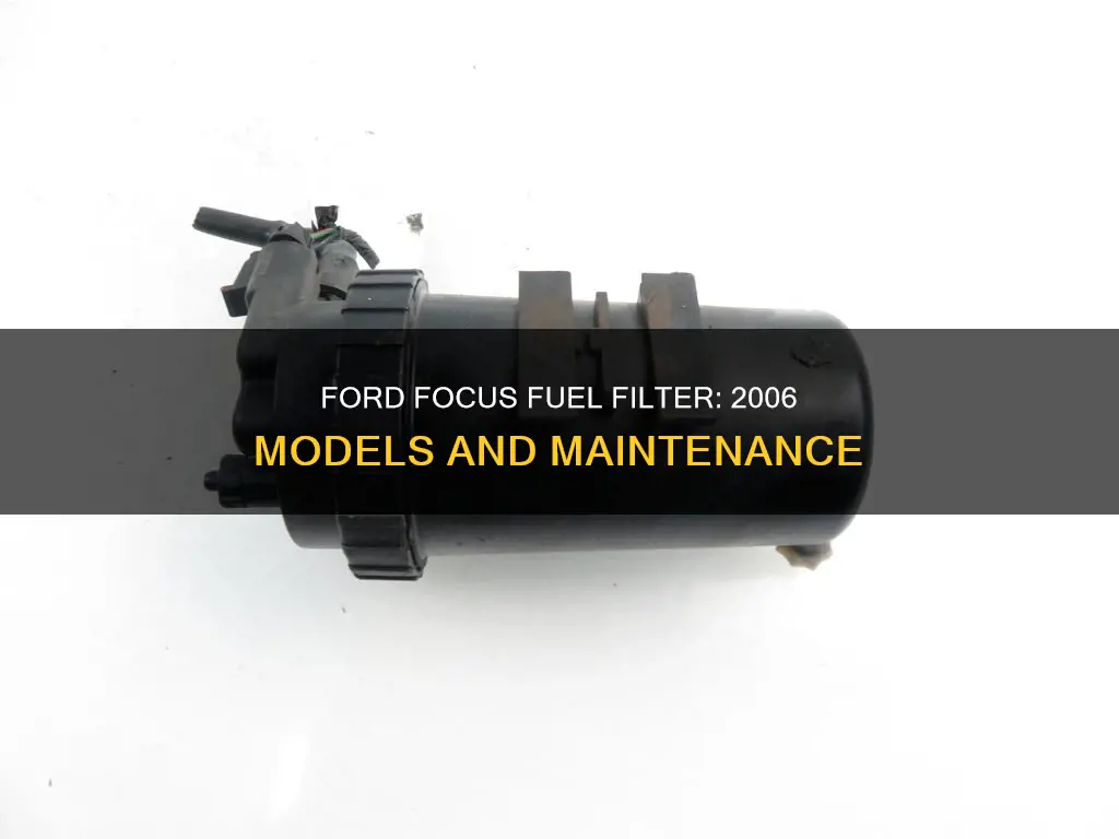 does a 2006 ford focus have a fuel filter