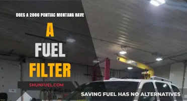 Fuel Filter Presence in 2006 Pontiac Montana Models