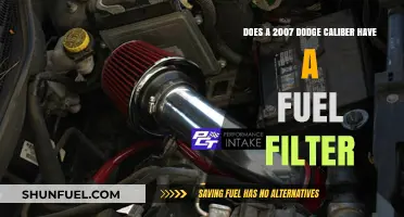 Dodge Caliber Fuel Filter: Is It Present?