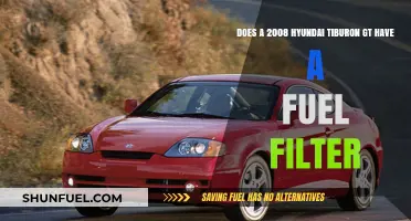 Fuel Filter on Hyundai Tiburon GT: Yes or No?