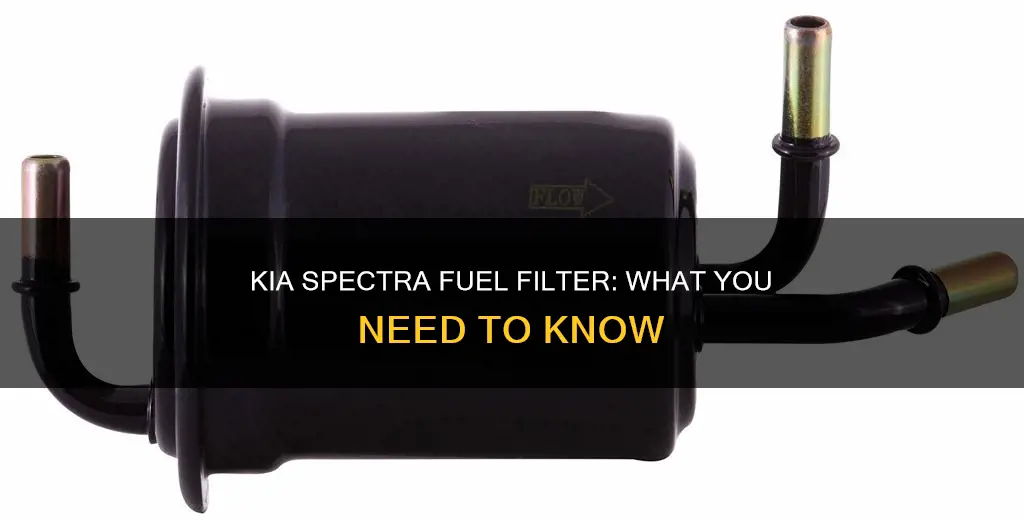 does a 2008 kia spectra have a fuel filter