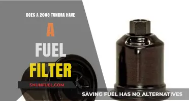 Tundra Truck Maintenance: Fuel Filter Checks