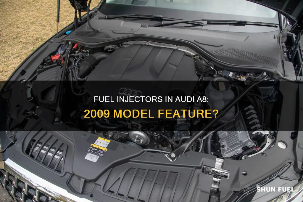 does a 2009 audi a8 have fuel injectors