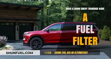 Fuel Filter Facts for the 2009 Chevy Traverse