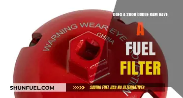 Fuel Filter Facts for 2009 Dodge Ram Owners