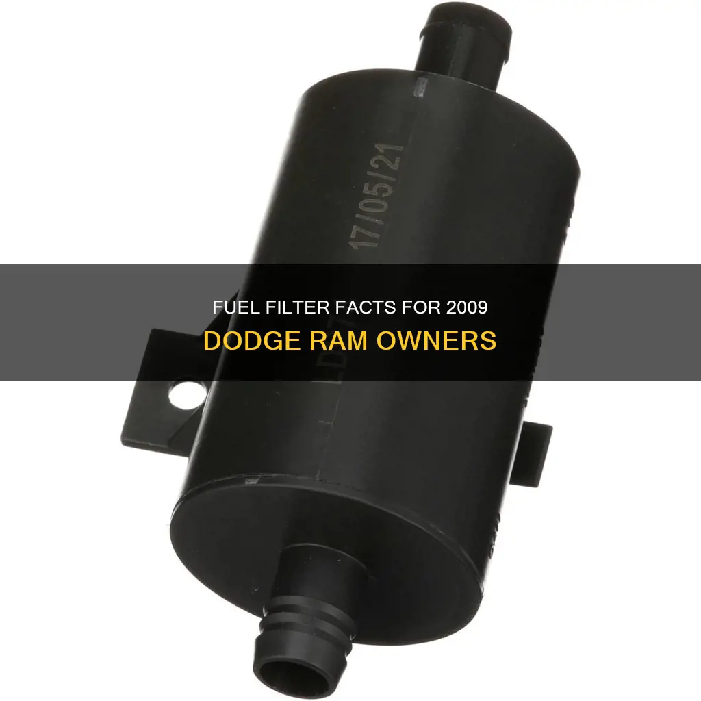 does a 2009 dodge ram have a fuel filter