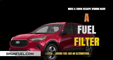 Ford Escape Hybrid: Fuel Filter Presence Explored