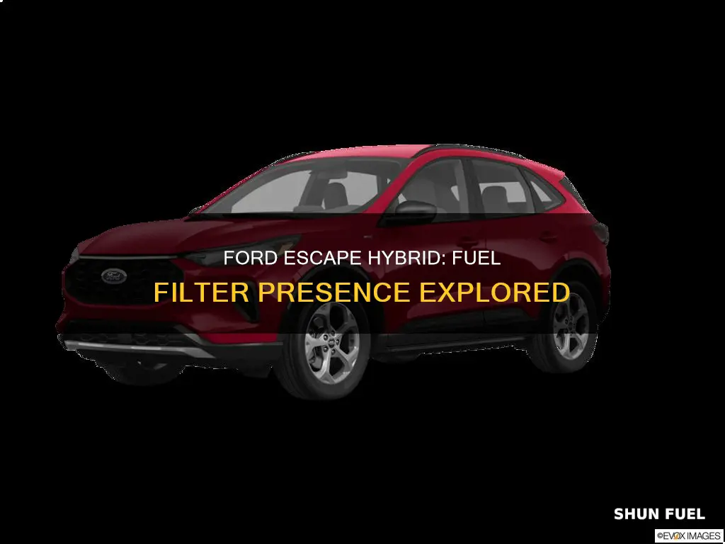 does a 2009 escape hybrid have a fuel filter