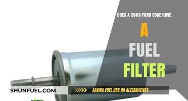 Ford Edge Fuel Filter: Is It Present?