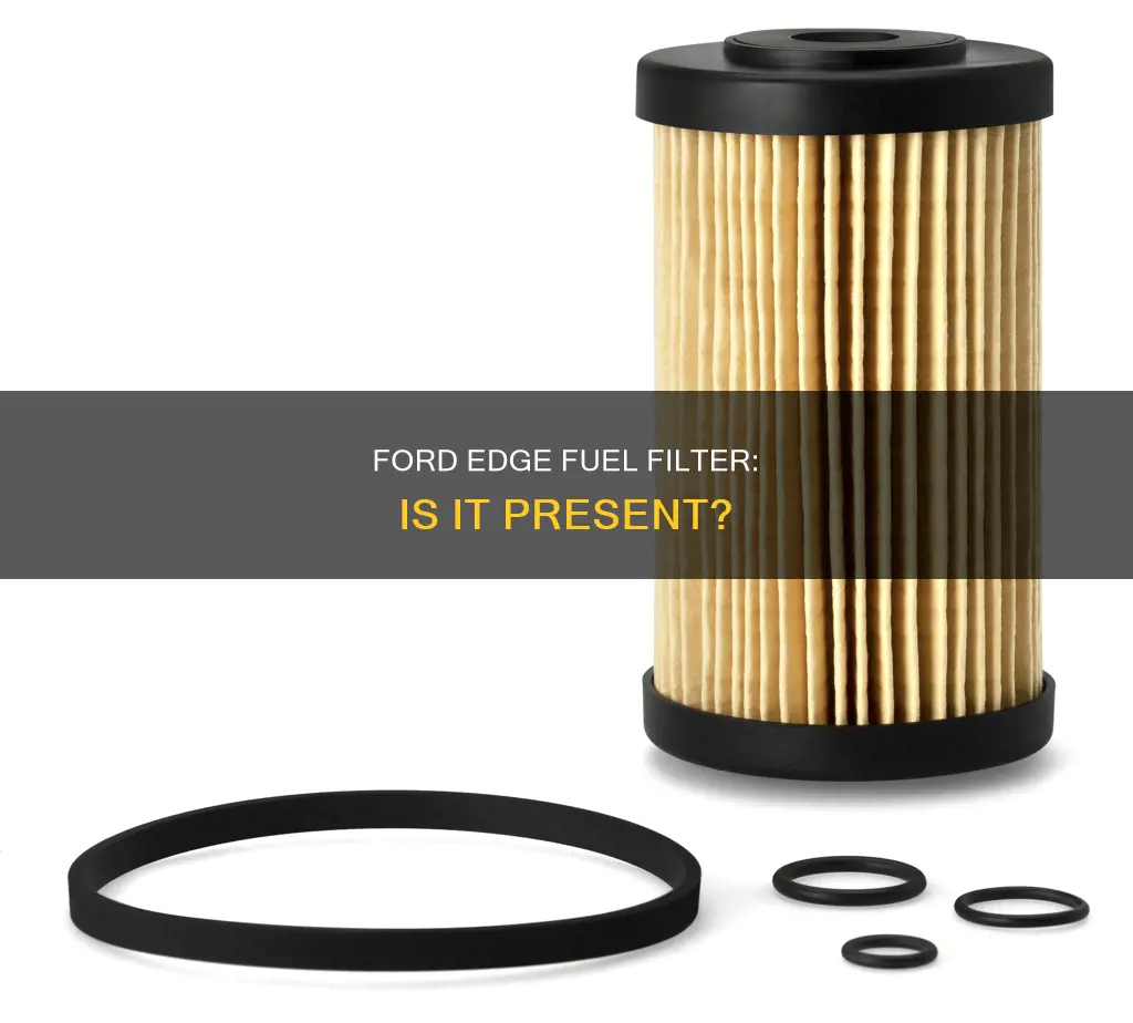 does a 2009 ford edge have a fuel filter