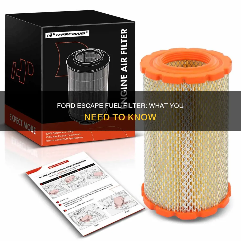 does a 2009 ford escape have a fuel filter