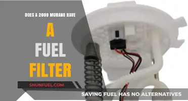 Fuel Filter Facts for 2009 Murano Owners