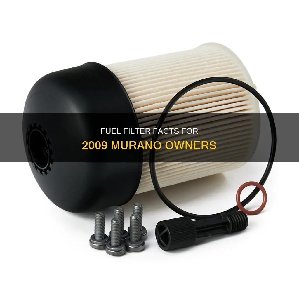 does a 2009 murano have a fuel filter