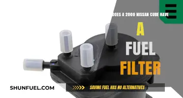 Nissan Cube: Fuel Filter Presence in 2009 Models