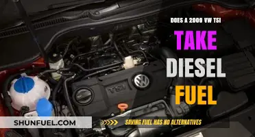 VW TSI 2009: Diesel or Gasoline?